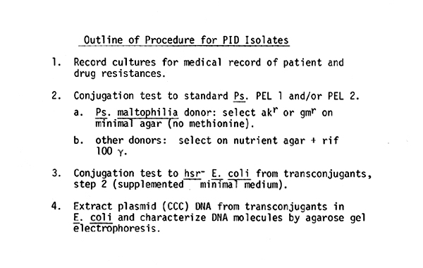 34 slide--procedure for PID isolates